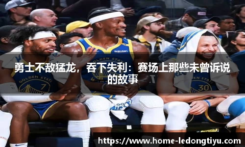 LD乐动官网