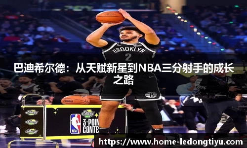 LD乐动官网