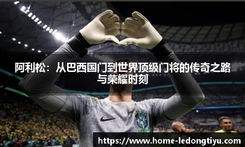 LD乐动官网